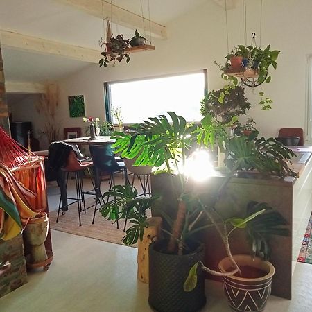 Carnoules  Logement De Charme Avec Piscine Et Jacuzzi מראה חיצוני תמונה