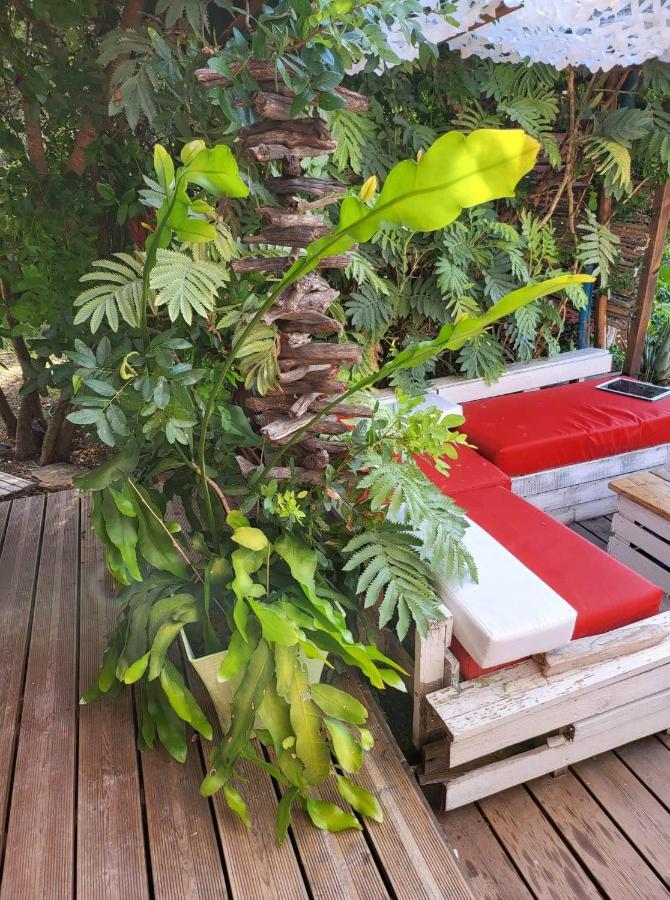 Carnoules  Logement De Charme Avec Piscine Et Jacuzzi מראה חיצוני תמונה